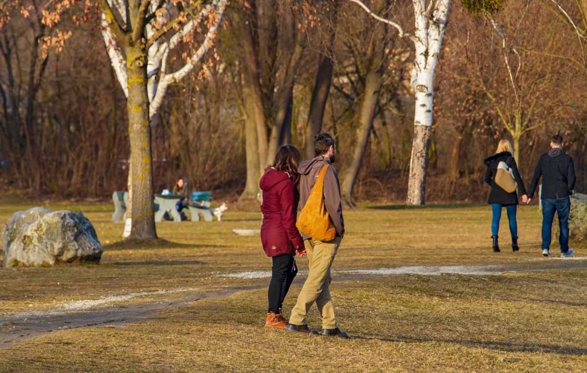 wandelen, park, bewegen, op pad zijn