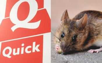 Quick - muis